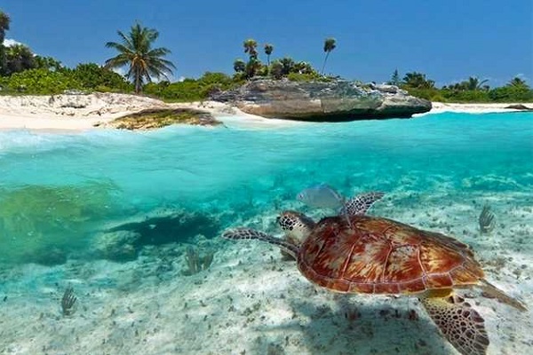 бюджетный отдых на Занзибаре